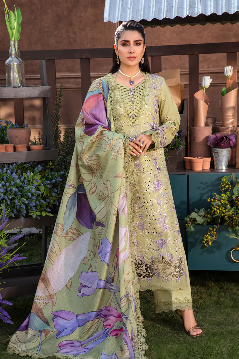 Rang Rasiya - Premium Collection - AYSEL