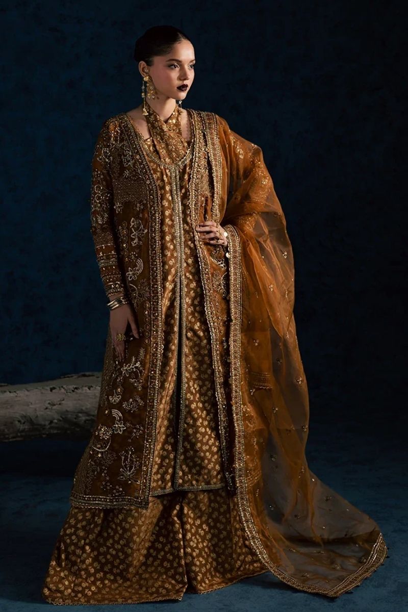Maria Osama Khan Wdding Festive - Zarmin