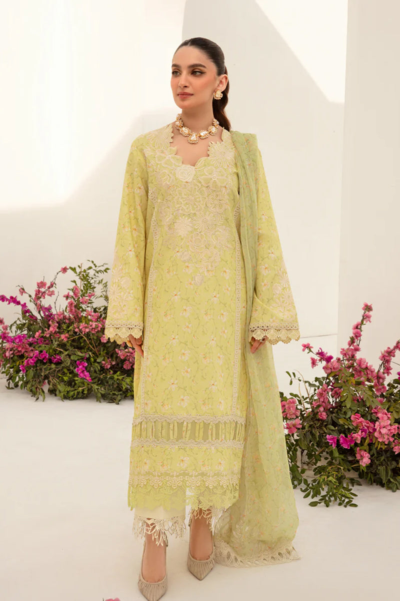 Rang Rasiya - Premium Lawn - Olivia