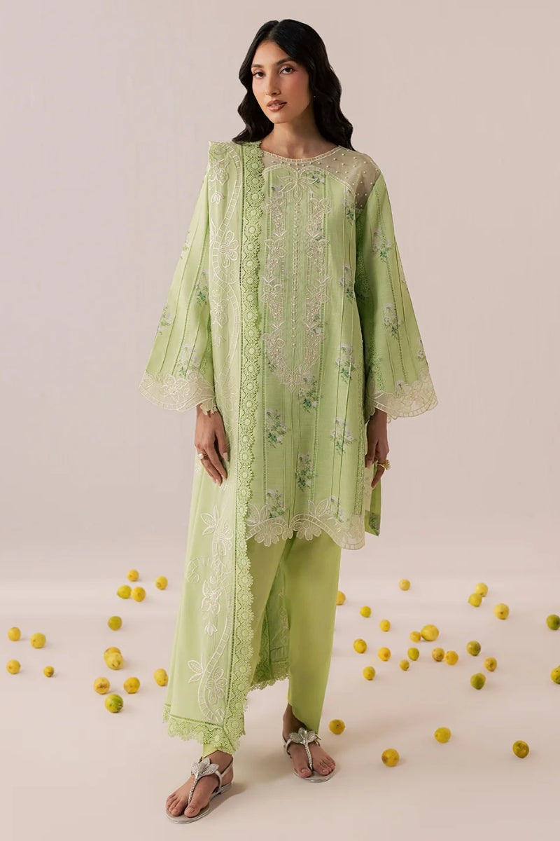 Mahnur Sage Winter '26 - IM-07
