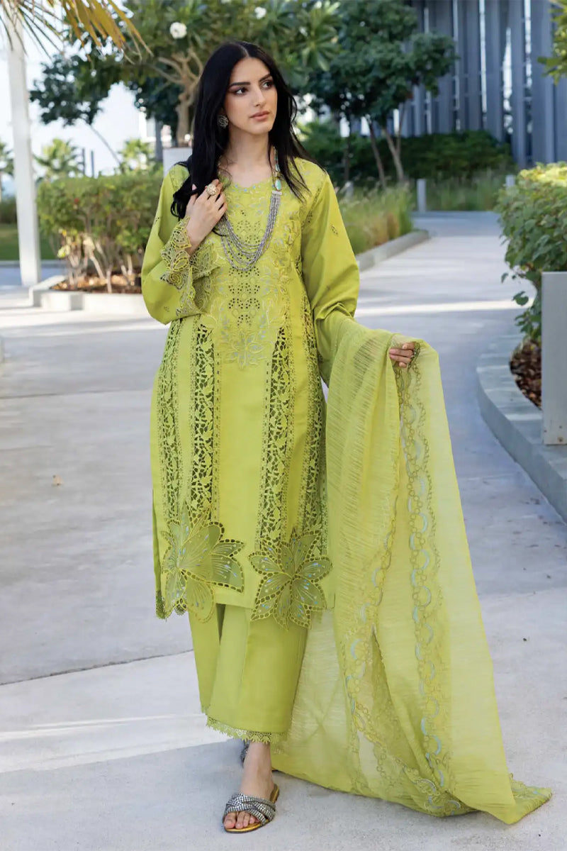 Rang Rasiya Carnation Lawn'25 D-02 Aaleen