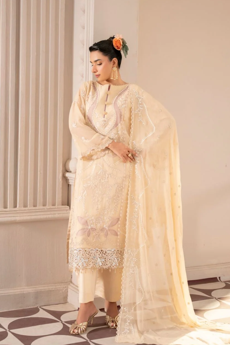 Zebtan Anaya Noor Chiffon'26 - AN 02