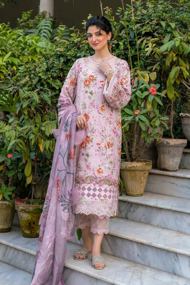 Asifa & Nabeel Gulkari`25 - D09