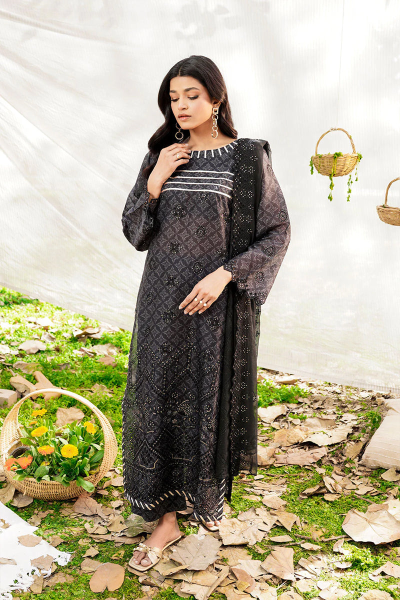 SAFWA KISHMISH - CHIKANKARI LAWN - SKH-01