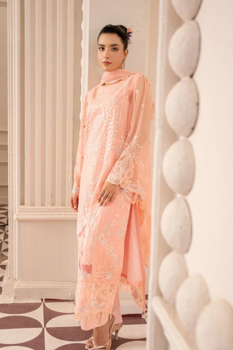 Zebtan Anaya Noor Chiffon'26 - AN 04